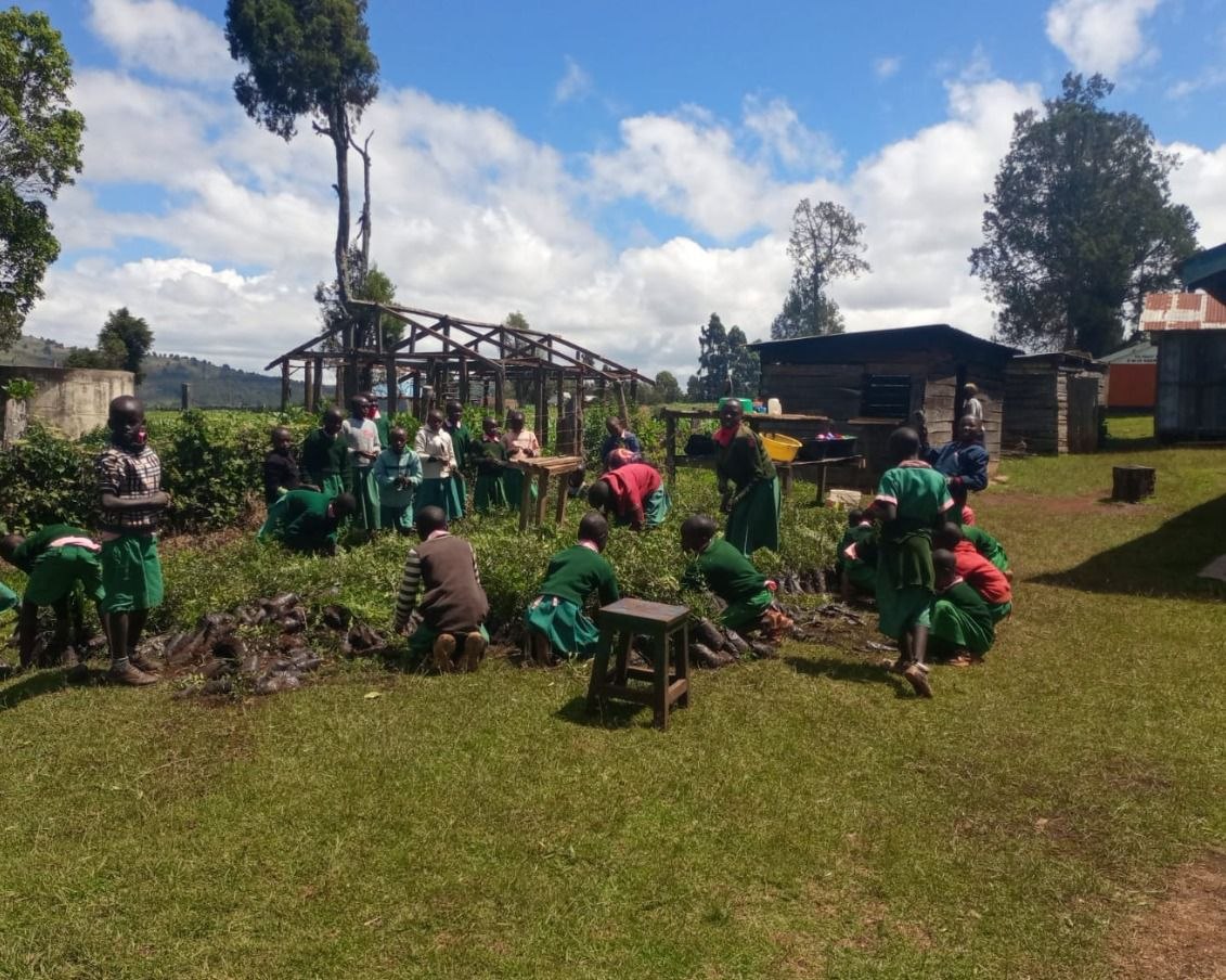 School support activity