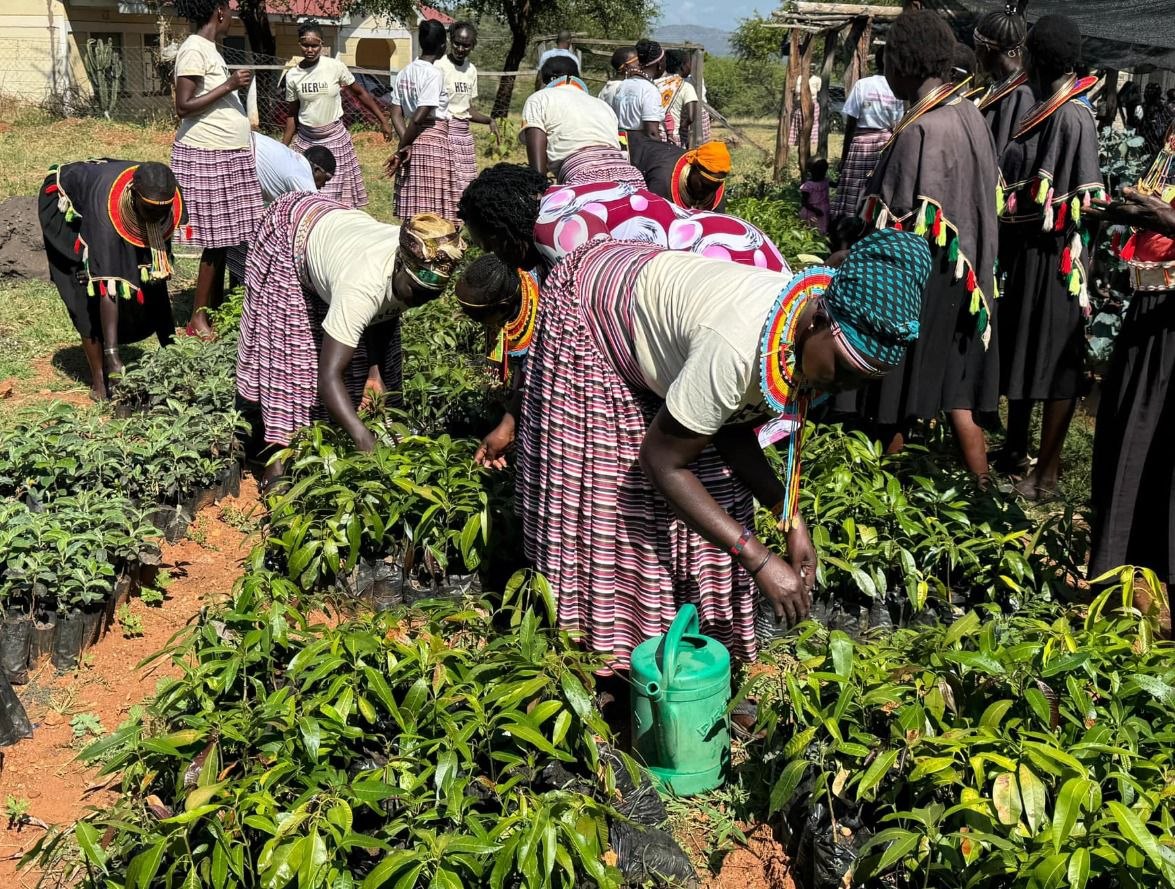 Child protection outreach